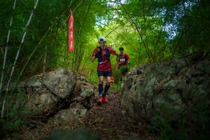 BIB: 
                            <button type="button" onclick="openModal(22089270)" class="btn btn-primary btn-sm float-right btn-popup" data-toggle="modal" data-target=".modal-high-quality">
                        <i class="fas fa-shopping-cart"></i> Add to Cart
                    </button>
                                            <button type="button" onclick="isThisMe(22089270, true)" class="btn btn-success btn-sm float-right btn-popup btn-isme hidden" data-toggle="tooltip" data-placement="bottom" title="นี่คือรูปของคุณใช่ไหม คลิกที่นี่เพื่อเอาเข้าอัลบั้ม">
                        <i class="fas fa-plus"></i> Add to album
                    </button>
                    <button type="button" onclick="isThisMe(22089270, false)" class="btn btn-warning btn-sm float-right btn-popup btn-isnotme hidden">
                        <i class="fas fa-ban"></i> Remove from album
                    </button>